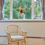 Terrace With Lush Garden * אפ